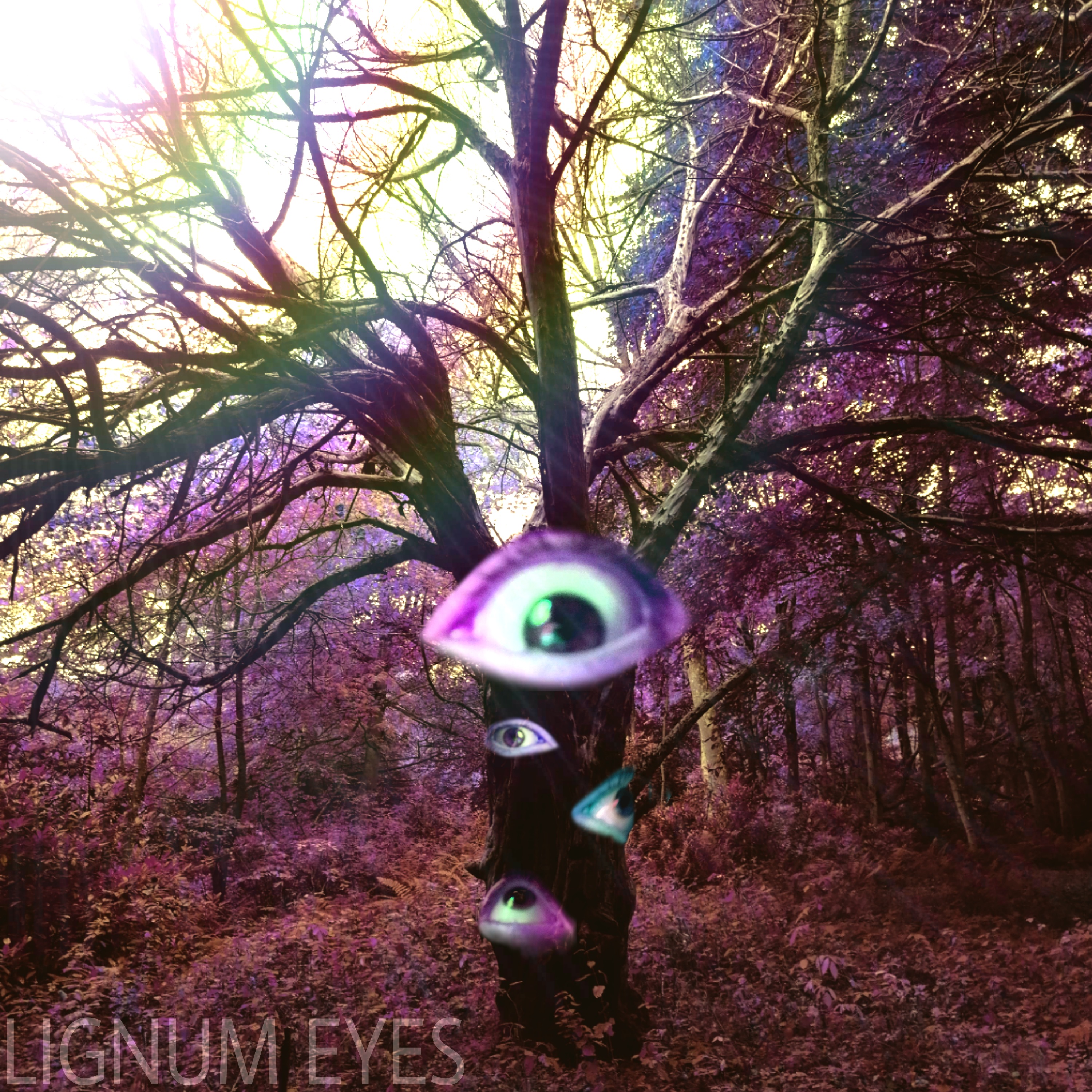 Lignum Eyes Cover